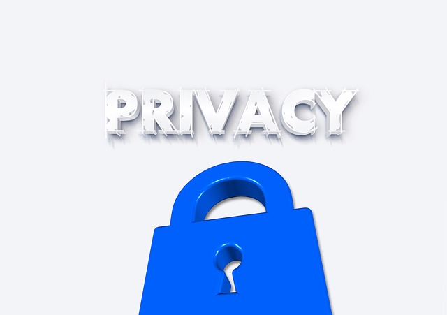  Il Gruppo di Lavoro Articolo 29 e le sfide future sul trattamento dei dati personali