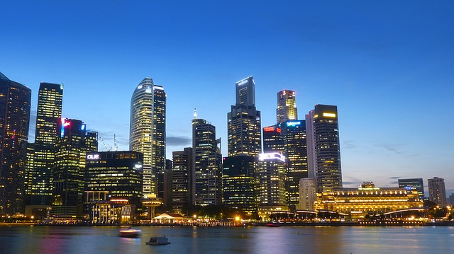  La Repubblica di Singapore: starting a business, dogane e documenti di importazione