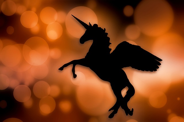  Unicorni? Sono sempre di più. Soprattutto in Silicon Valley e a Pechino
