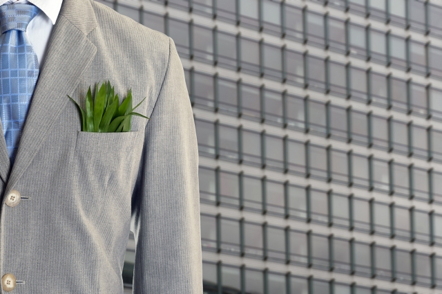  Green economy: la migliore risposta  alla crisi, una sfida per il futuro