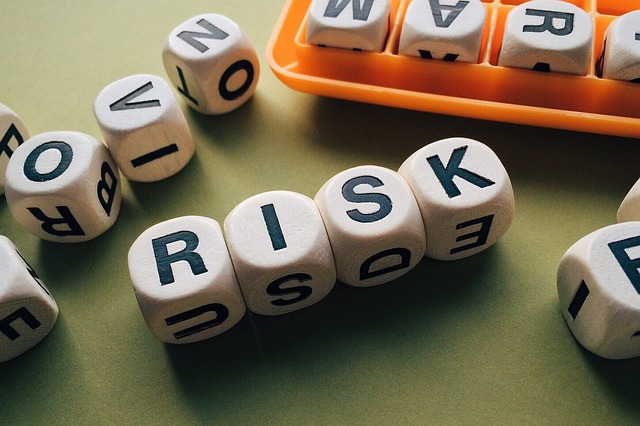  Rischio d’impresa e di revisione: il controllo di gestione come strumento di risk management