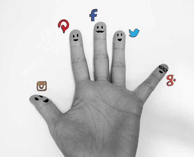  L’Antropologia in azienda: per un’analisi netnografica di fan e followers sui social