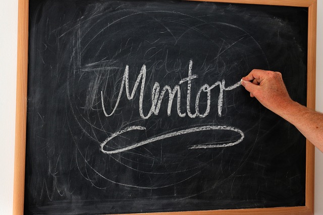  Unioncamere, attività di mentoring per le imprese