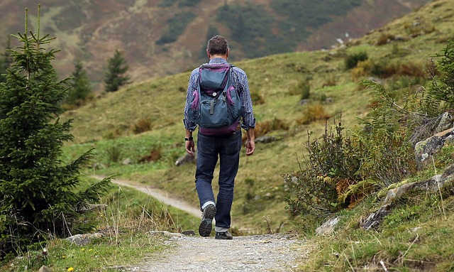  Trend-spotting nel settore travel: la Netnografia alla prova dell’ecoturismo