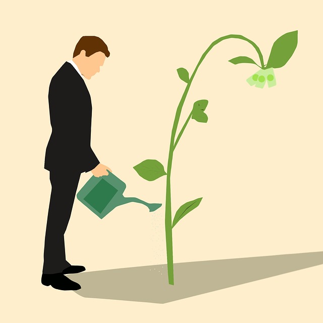 Emilia-Romagna – Start up e green economy: ancora tempo e risorse per accedere al Fondo di finanza agevolata per le imprese