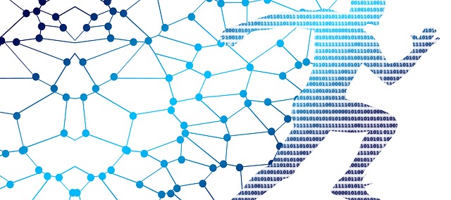 Digital Impact: come guidare la trasformazione digitale