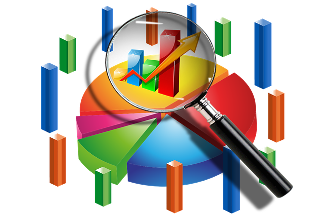 Analisi e statistiche sulle dichiarazioni fiscali 2017 Irpef, studi di settore, Iva