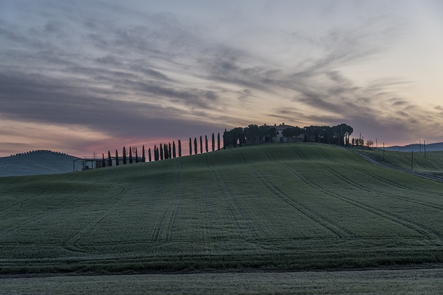  Continua anche nel 2017 il trend di crescita del settore agrituristico