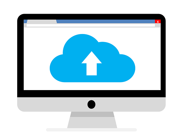 Partite Iva, cresce la scelta del Cloud