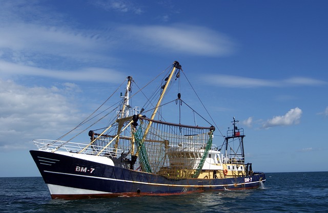  Fermo Pesca anno 2018: nuove informazioni per compilare le richieste
