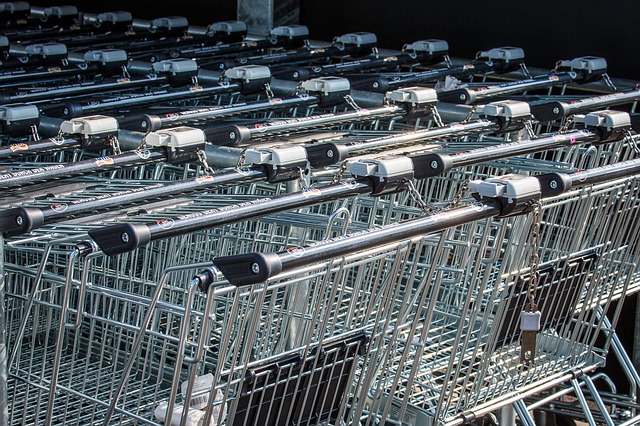 Consumi: Confesercenti Cer, frenano ancora nel 2019, 3,6 miliardi in meno