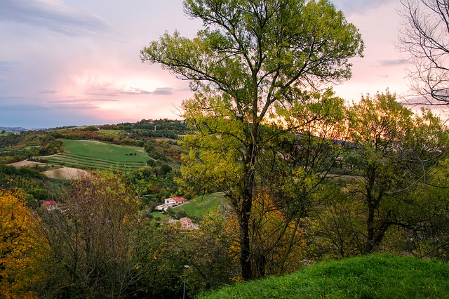  Marche, contributi per favorire lo sviluppo delle aree rurali