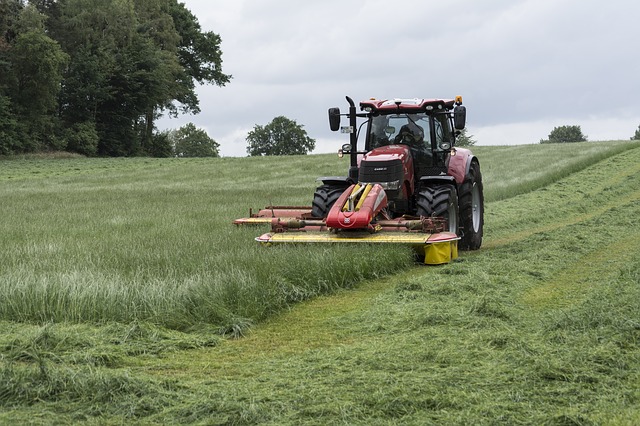 Occupazione in agricoltura: +4% di operai impiegati e +6 delle giornate lavorate