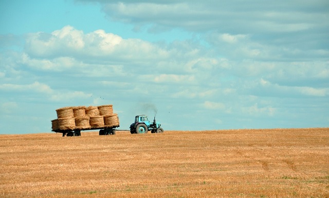 Agricoltura: nel 2018 +0,6% produzione e +0,9% valore aggiunto in un anno