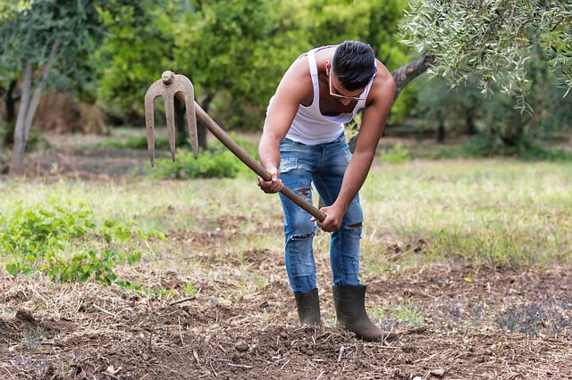 Caporalato in agricoltura: 60 milioni di euro per le azioni di contrasto allo sfruttamento dei lavoratori