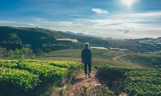 Agricoltura sociale: quarta edizione del bando di Confagricoltura e onlus Senior, in collaborazione con Reale Foundation. In palio 120.000 euro per i tre progetti più innovativi