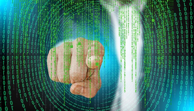 Aziende italiane che sviluppano software: opportunità di business in America