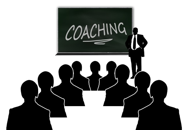  Il coaching organizzativo