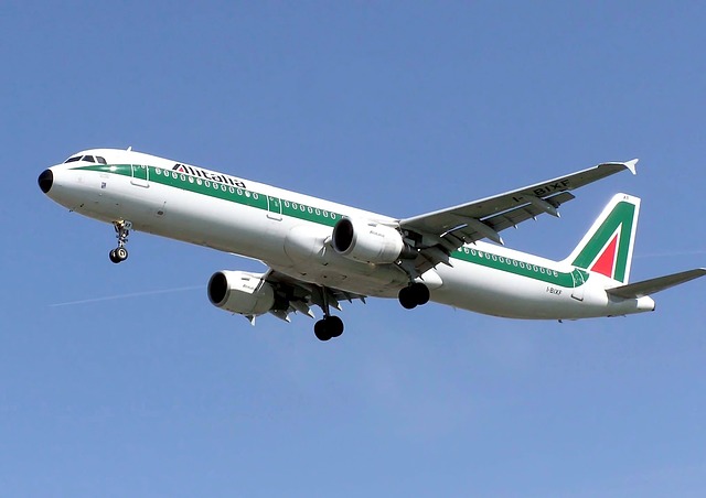 Alitalia e quei 100mila posti fantasma nell’artigianato