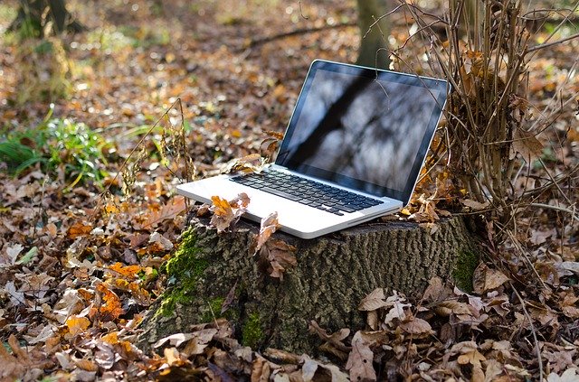  Ecosostenibilità in Rete: l’ambiente appassiona gli utenti. Centrali le startup green made in Italy