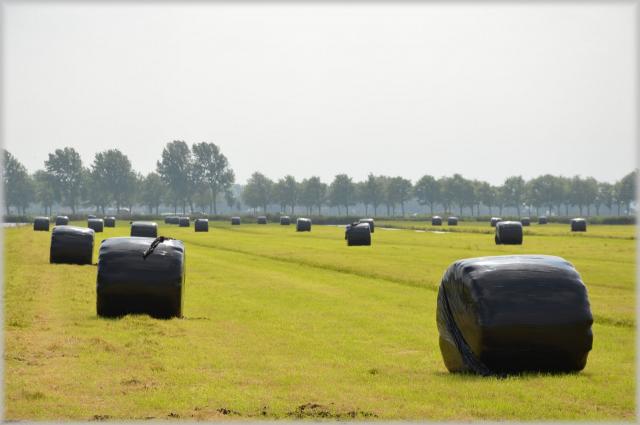  Parte “Fields”, il più grande progetto formativo europeo per l’agroalimentare. Italia capofila con Confagricoltura e Università di Torino