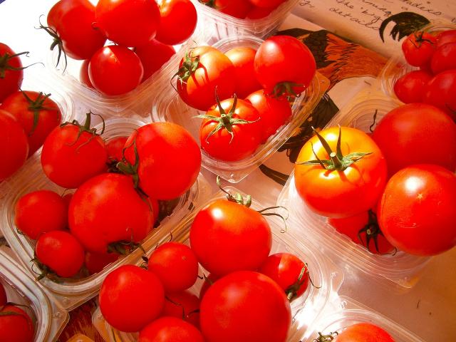 Come intercettare finanziamenti per startup agrifood