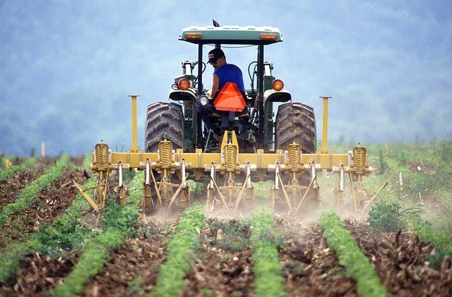 Coronavirus, Giansanti (Confagricoltura): emergenza manodopera nelle campagne