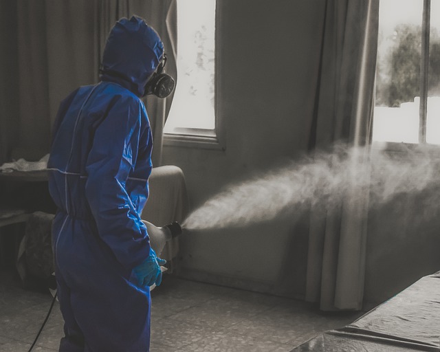 Prevenire il diffondersi del coronavirus in casa e nei luoghi di lavoro, ecco lo studio