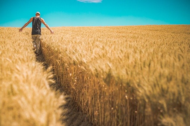 Officinamps: per le aziende agroalimentari serve investire in innovazione e sostenibilità per uscire dall’emergenza