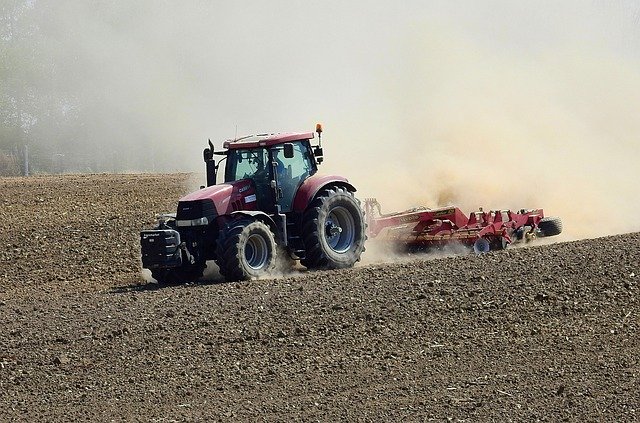  Nel 2019 in flessione il settore agricolo, si rafforza l’agroalimentare