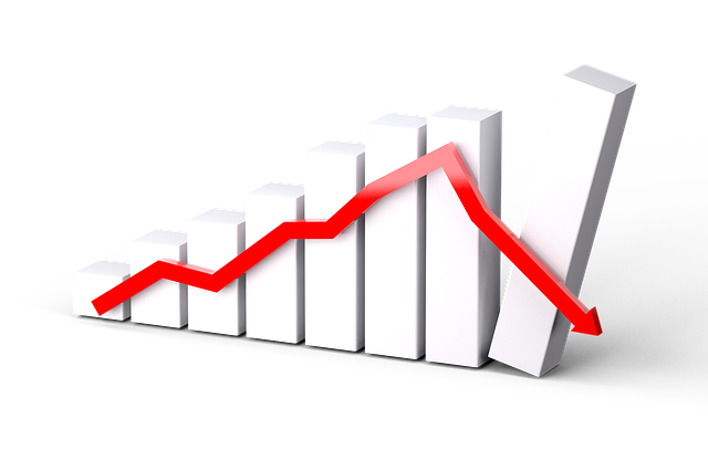  Istat: il Covid-19 sconvolge lo scenario economico internazionale