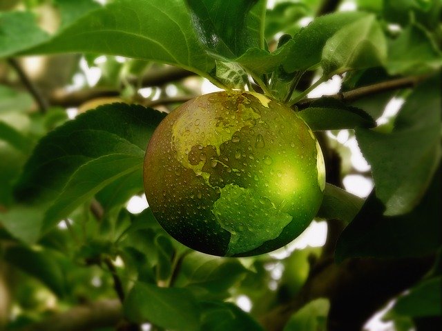  Recupero delle eccedenze di cibo, filiera corta, packaging parlante. Dall’emergenza Covid-19 l’occasione per un agroalimentare più sostenibile