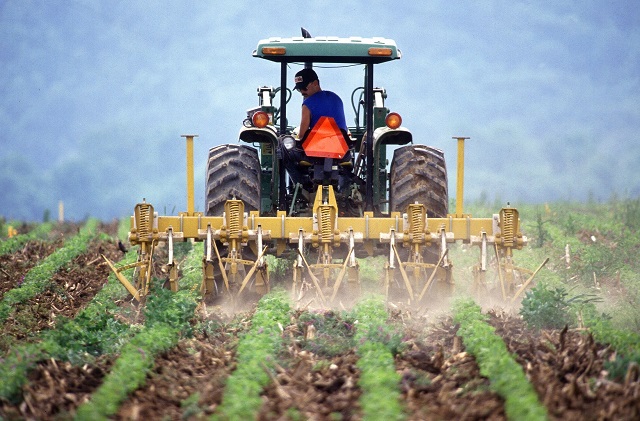  Agricoltura, dall’Inail 65 milioni di euro per la salute e la sicurezza nelle micro e piccole imprese