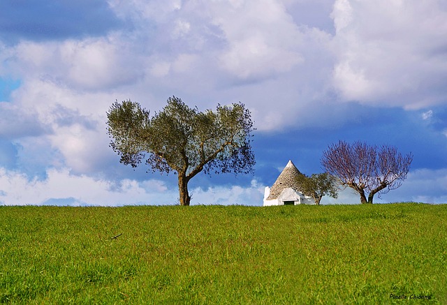  Puglia, contributi alla produzione agricola locale