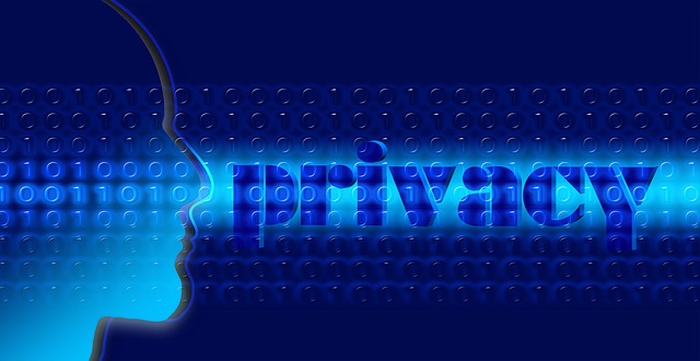  Privacy dei dati: superare le aspettative dei consumatori per creare strategie di marketing di successo. Evidenze da due nuovi studi