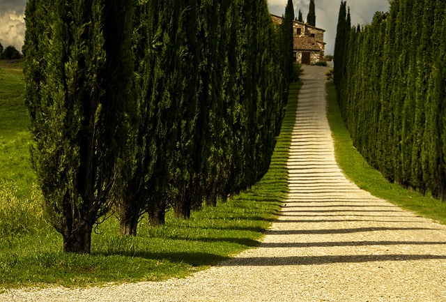  Agriturist: voglia di viaggiare e ampi spazi hanno accelerato la ripresa in campagna