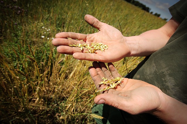  Bando Agricoltura Sociale: in palio 120.000 euro. Scadenza il 15 ottobre