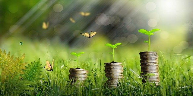  441mila imprese italiane negli ultimi 5 anni hanno investito sulla green economy e sulla sostenibilità per affrontare il futuro