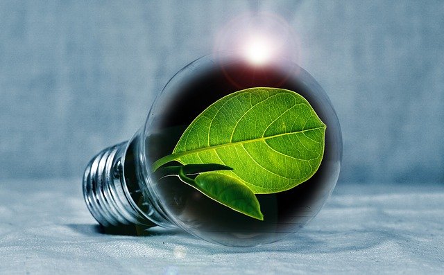  Eventi Green, i tre pilastri per evitare un ecologismo di facciata