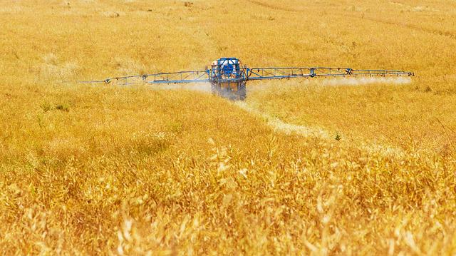  Istat-Crea: l’agricoltura non aggancia la ripresa ma può contare su misure straordinarie