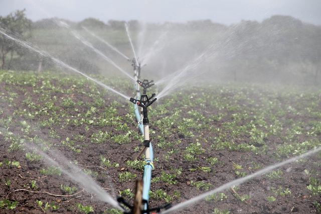  Nuovo bonus per le imprese agricole e agroalimentari. Domande aperte dal 20 settembre al 20 ottobre 2022 per le spese del 2021