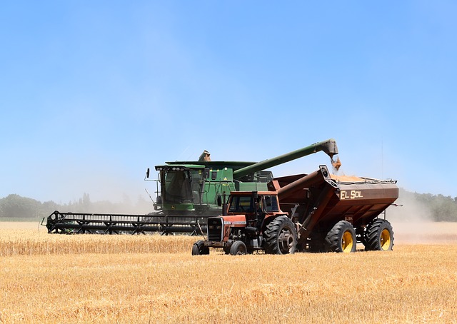  Censimento Istat: aziende agricole sempre più grandi e strutturate. Gli investimenti in innovazione e digitale spingono verso l’agricoltura del futuro