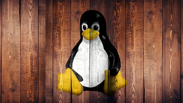  C’è Linux alla base di ogni azienda. Ma come lo è diventato?