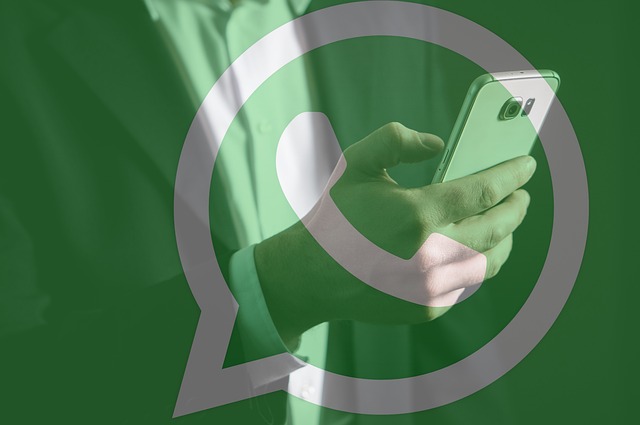 WhatsApp Business: un alleato prezioso per le PMI anche durante l’estate