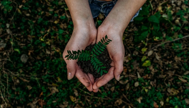  La transizione ecologica impatterà in maniera significativa sul 72% delle aziende