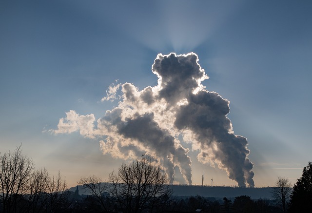  Regione Piemonte, contributi per la riduzione di gas serra, anche per giovani imprenditori agricoli