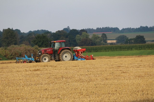  Oltre 401mila, nel 2020, le imprese che svolgono attività principale nel settore agricolo, 8 su 10 sono imprese individuali