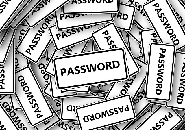  Password, un problema molto “caro” alle aziende