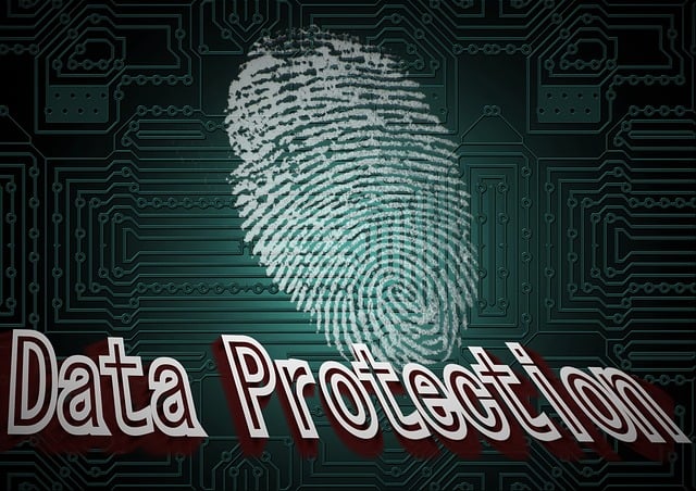  Le 3 strategie aziendali per proteggere i dati sensibili secondo OpenText