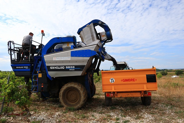  Agricoltura, nel quinquennio 2017-2021 le denunce di infortunio in calo del 20,9%